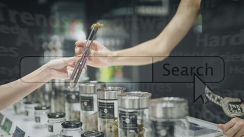 Lot-Aware Search: The Feature Cannabis  e-commerce Has Been Missing