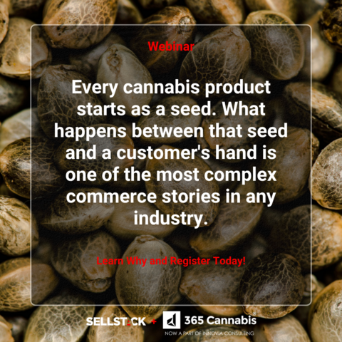 IG-webinar-post2-seeds.png